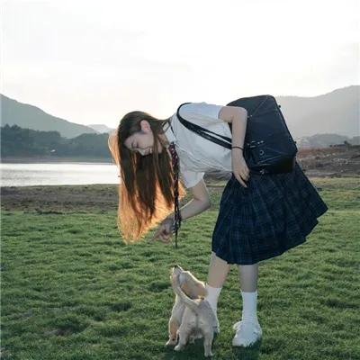枯木逢春